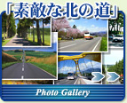 �u�f�G�Ȗk�̓��v�́A�k�C�����̑f�G�ȓ��̕��i�����Љ��T�C�g�ł��B